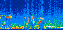 /calipso-imagery/data/BROWSE/production/V5-00/2006-09-30/2006-09-30_14-57-28_V5.00_3_thmb.png image missing