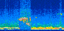/calipso-imagery/data/BROWSE/production/V5-00/2006-09-30/2006-09-30_23-11-54_V5.00_2_thmb.png image missing