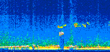 /calipso-imagery/data/BROWSE/production/V5-00/2006-10-09/2006-10-09_00-00-19_V5.00_2_thmb.png image missing