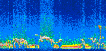 /calipso-imagery/data/BROWSE/production/V5-00/2006-10-09/2006-10-09_08-14-45_V5.00_2_thmb.png image missing