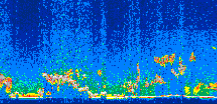 /calipso-imagery/data/BROWSE/production/V5-00/2006-11-12/2006-11-12_04-40-30_V5.00_2_thmb.png image missing
