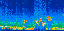 /calipso-imagery/data/BROWSE/production/V5-00/2006-11-15/2006-11-15_08-28-56_V5.00_2_thmb.png image missing