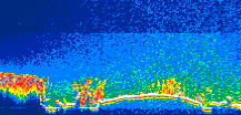 /calipso-imagery/data/BROWSE/production/V5-00/2006-11-15/2006-11-15_10-07-46_V5.00_1_thmb.png image missing