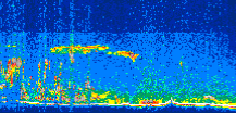 /calipso-imagery/data/BROWSE/production/V5-00/2006-11-15/2006-11-15_11-46-42_V5.00_3_thmb.png image missing