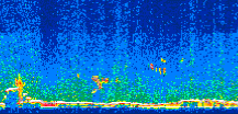 /calipso-imagery/data/BROWSE/production/V5-00/2006-11-15/2006-11-15_15-04-27_V5.00_2_thmb.png image missing