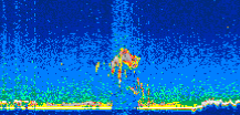 /calipso-imagery/data/BROWSE/production/V5-00/2006-11-15/2006-11-15_20-01-03_V5.00_3_thmb.png image missing
