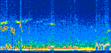 /calipso-imagery/data/BROWSE/production/V5-00/2006-11-21/2006-11-21_02-54-54_V5.00_3_thmb.png image missing