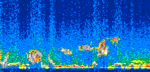 /calipso-imagery/data/BROWSE/production/V5-00/2006-11-21/2006-11-21_07-51-35_V5.00_2_thmb.png image missing