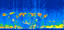 /calipso-imagery/data/BROWSE/production/V5-00/2006-11-21/2006-11-21_07-51-35_V5.00_3_thmb.png image missing