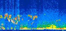 /calipso-imagery/data/BROWSE/production/V5-00/2006-11-21/2006-11-21_09-30-25_V5.00_3_thmb.png image missing