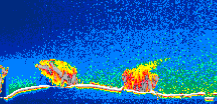 /calipso-imagery/data/BROWSE/production/V5-00/2006-11-21/2006-11-21_17-44-51_V5.00_1_thmb.png image missing