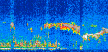 /calipso-imagery/data/BROWSE/production/V5-00/2006-11-21/2006-11-21_17-44-51_V5.00_3_thmb.png image missing