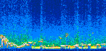 /calipso-imagery/data/BROWSE/production/V5-00/2006-11-21/2006-11-21_21-02-37_V5.00_2_thmb.png image missing