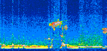 /calipso-imagery/data/BROWSE/production/V5-00/2006-11-21/2006-11-21_21-02-37_V5.00_3_thmb.png image missing