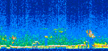 /calipso-imagery/data/BROWSE/production/V5-00/2006-12-21/2006-12-21_03-06-30_V5.00_2_thmb.png image missing