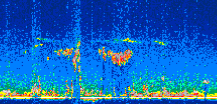 /calipso-imagery/data/BROWSE/production/V5-00/2006-12-21/2006-12-21_03-06-30_V5.00_3_thmb.png image missing