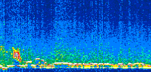 /calipso-imagery/data/BROWSE/production/V5-00/2006-12-21/2006-12-21_06-24-16_V5.00_2_thmb.png image missing