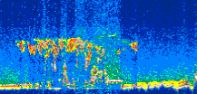 /calipso-imagery/data/BROWSE/production/V5-00/2006-12-21/2006-12-21_06-24-16_V5.00_3_thmb.png image missing