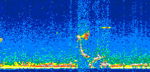 /calipso-imagery/data/BROWSE/production/V5-00/2006-12-21/2006-12-21_22-53-08_V5.00_3_thmb.png image missing