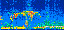 /calipso-imagery/data/BROWSE/production/V5-00/2007-01-02/2007-01-02_01-52-28_V5.00_3_thmb.png image missing