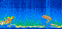 /calipso-imagery/data/BROWSE/production/V5-00/2007-01-02/2007-01-02_03-31-23_V5.00_2_thmb.png image missing