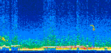 /calipso-imagery/data/BROWSE/production/V5-00/2007-01-02/2007-01-02_06-49-08_V5.00_2_thmb.png image missing