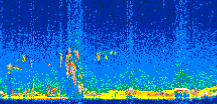 /calipso-imagery/data/BROWSE/production/V5-00/2007-01-02/2007-01-02_08-28-03_V5.00_3_thmb.png image missing