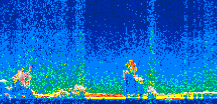 /calipso-imagery/data/BROWSE/production/V5-00/2007-01-02/2007-01-02_13-24-39_V5.00_2_thmb.png image missing