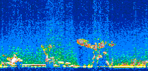 /calipso-imagery/data/BROWSE/production/V5-00/2007-01-02/2007-01-02_21-39-05_V5.00_2_thmb.png image missing