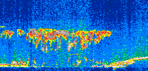 /calipso-imagery/data/BROWSE/production/V5-00/2007-01-03/2007-01-03_05-53-31_V5.00_3_thmb.png image missing