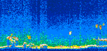 /calipso-imagery/data/BROWSE/production/V5-00/2007-01-03/2007-01-03_12-29-07_V5.00_2_thmb.png image missing