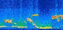 /calipso-imagery/data/BROWSE/production/V5-00/2007-01-03/2007-01-03_15-46-53_V5.00_2_thmb.png image missing