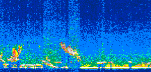 /calipso-imagery/data/BROWSE/production/V5-00/2007-01-03/2007-01-03_20-43-33_V5.00_2_thmb.png image missing