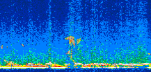 /calipso-imagery/data/BROWSE/production/V5-00/2007-01-03/2007-01-03_22-22-23_V5.00_3_thmb.png image missing