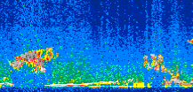 /calipso-imagery/data/BROWSE/production/V5-00/2007-01-04/2007-01-04_03-19-04_V5.00_2_thmb.png image missing