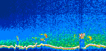 /calipso-imagery/data/BROWSE/production/V5-00/2007-01-04/2007-01-04_04-57-54_V5.00_1_thmb.png image missing