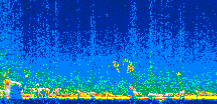 /calipso-imagery/data/BROWSE/production/V5-00/2007-01-04/2007-01-04_08-15-45_V5.00_2_thmb.png image missing