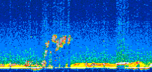 /calipso-imagery/data/BROWSE/production/V5-00/2007-01-04/2007-01-04_08-15-45_V5.00_3_thmb.png image missing