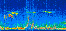 /calipso-imagery/data/BROWSE/production/V5-00/2007-01-05/2007-01-05_00-44-37_V5.00_3_thmb.png image missing
