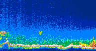 /calipso-imagery/data/BROWSE/production/V5-00/2007-01-05/2007-01-05_02-23-27_V5.00_4_thmb.png image missing