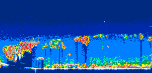 /calipso-imagery/data/BROWSE/production/V5-00/2007-01-05/2007-01-05_06-33-48_V5.00_2_thmb.png image missing