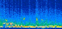/calipso-imagery/data/BROWSE/production/V5-00/2007-01-05/2007-01-05_07-20-08_V5.00_2_thmb.png image missing