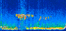 /calipso-imagery/data/BROWSE/production/V5-00/2007-01-05/2007-01-05_07-20-08_V5.00_3_thmb.png image missing