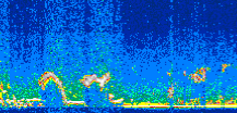 /calipso-imagery/data/BROWSE/production/V5-00/2007-01-05/2007-01-05_08-59-03_V5.00_2_thmb.png image missing
