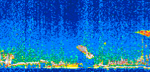/calipso-imagery/data/BROWSE/production/V5-00/2007-01-05/2007-01-05_17-13-29_V5.00_2_thmb.png image missing