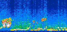 /calipso-imagery/data/BROWSE/production/V5-00/2007-01-05/2007-01-05_20-31-15_V5.00_2_thmb.png image missing