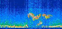 /calipso-imagery/data/BROWSE/production/V5-00/2007-01-05/2007-01-05_20-31-15_V5.00_3_thmb.png image missing