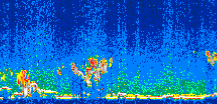 /calipso-imagery/data/BROWSE/production/V5-00/2007-01-10/2007-01-10_12-35-29_V5.00_2_thmb.png image missing
