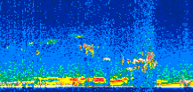/calipso-imagery/data/BROWSE/production/V5-00/2007-01-10/2007-01-10_14-14-24_V5.00_3_thmb.png image missing