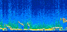 /calipso-imagery/data/BROWSE/production/V5-00/2007-01-10/2007-01-10_20-49-55_V5.00_2_thmb.png image missing